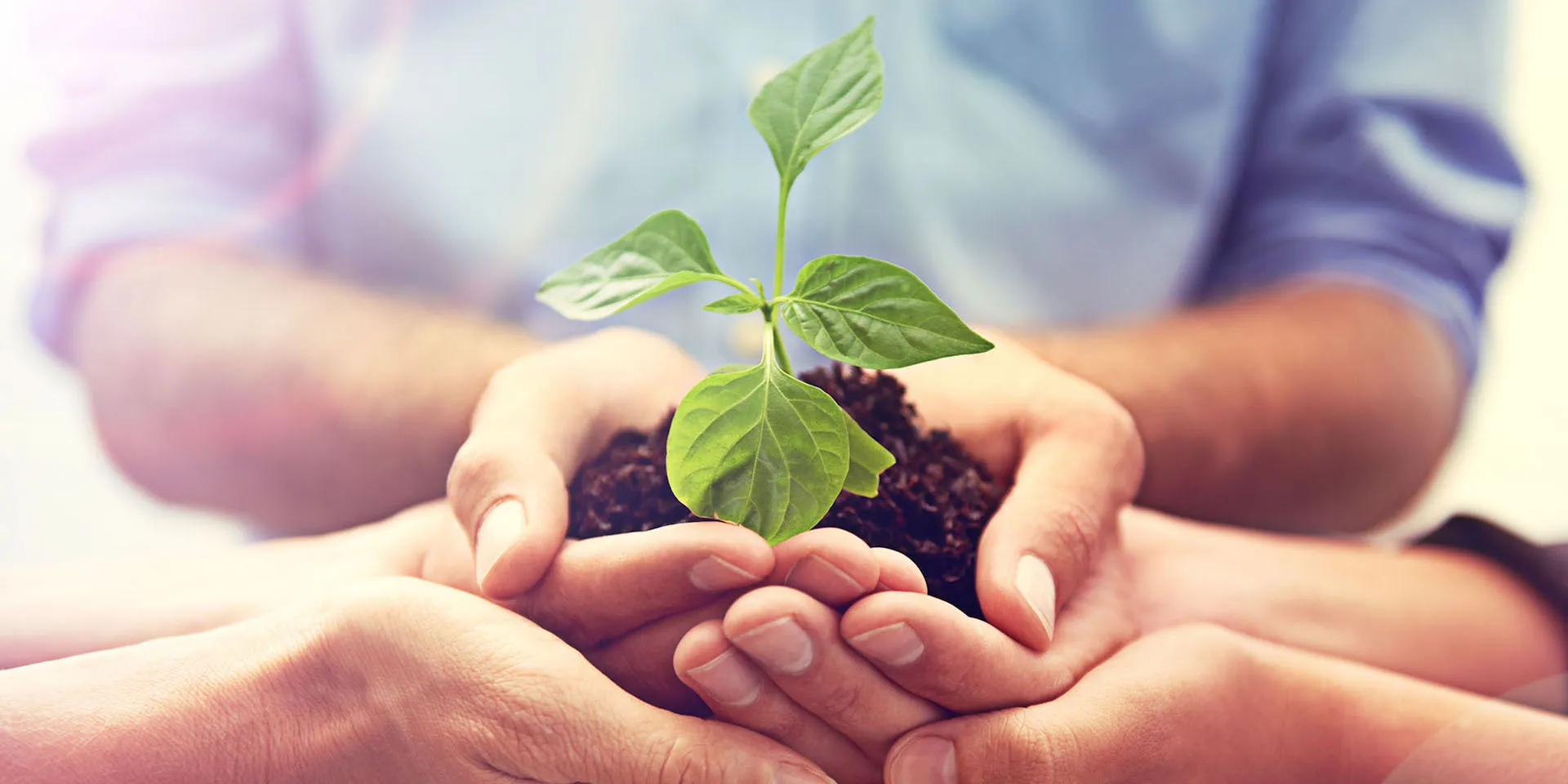 Çevre Konulu Bilinçlendirme ve Eğitim Hizmetleri